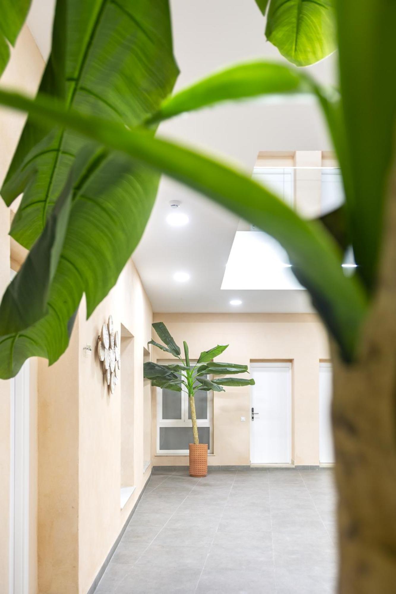 Apartamentos La Tahona Cadiz Dış mekan fotoğraf